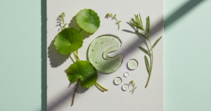 Centella asiática para qué sirve | KUDZŪ